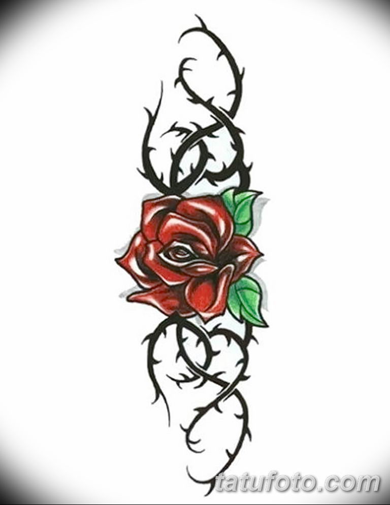 Фото тату роза с шипами 26.06.2019 № 060 - spiked rose tattoo - tatufoto.co...