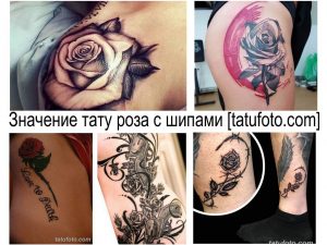 Фото тату розы с шипами на плече. Красивый рисунок татуировки в черно-белых тонах с детально проработанными лепестками и острыми шипами.