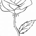 Фото тату белые цветы18.06.2019 №201 - tattoo white flowers - tatufoto.com