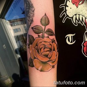 Фото тату персиковой розы на предплечье. Теплые оттенки, реалистичное изображение, зеленые листья, мягкий дизайн.