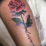 Фото тату роза с шипами 26.06.2019 №042 - spiked rose tattoo - tatufoto.com