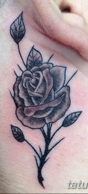 Фото тату роза с шипами 26.06.2019 №046 — spiked rose tattoo — tatufoto.com