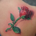 Фото тату роза с шипами 26.06.2019 №049 - spiked rose tattoo - tatufoto.com