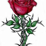 Фото тату роза с шипами 26.06.2019 №059 - spiked rose tattoo - tatufoto.com