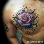 Фото тату роза с шипами 26.06.2019 №061 - spiked rose tattoo - tatufoto.com