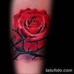 Фото тату роза с шипами 26.06.2019 №062 - spiked rose tattoo - tatufoto.com