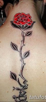 Фото тату роза с шипами 26.06.2019 №067 — spiked rose tattoo — tatufoto.com
