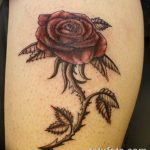 Фото тату роза с шипами 26.06.2019 №080 - spiked rose tattoo - tatufoto.com