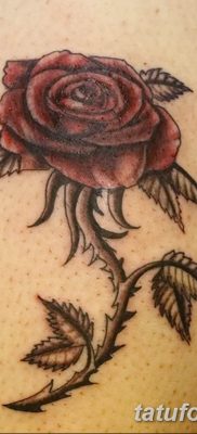 Фото тату роза с шипами 26.06.2019 №080 — spiked rose tattoo — tatufoto.com