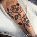 Фото тату роза с шипами 26.06.2019 №092 - spiked rose tattoo - tatufoto.com