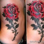 Фото тату роза с шипами 26.06.2019 №100 - spiked rose tattoo - tatufoto.com
