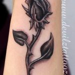Фото тату роза с шипами 26.06.2019 №105 - spiked rose tattoo - tatufoto.com