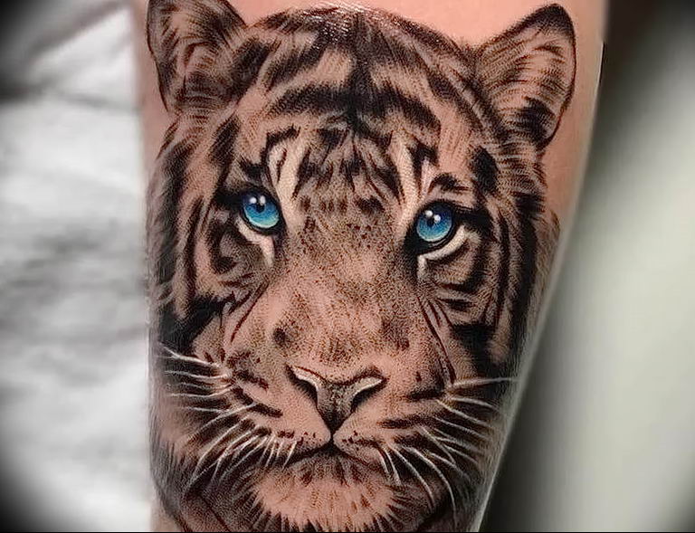 Фото тату белый тигр 28.07.2019 № 021 - white tiger tattoo - tatufoto.com. 