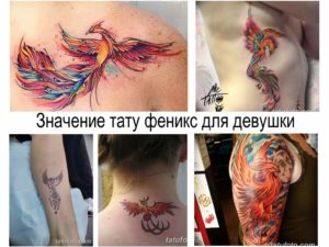 Фото тату феникса на теле девушки. Разноцветная татуировка с яркими перьями, выполненная в акварельном стиле. Идеи для эскиза тату феникса.