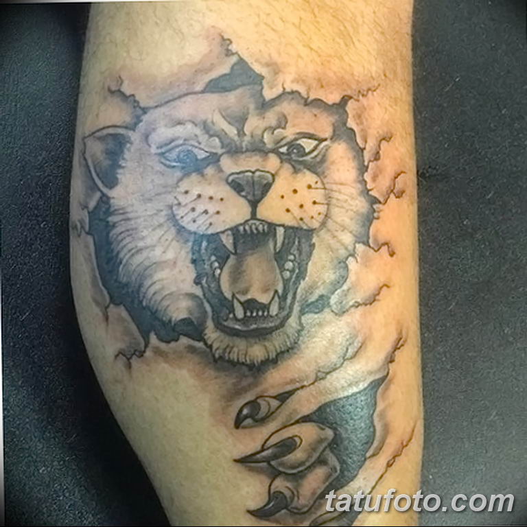 Игрок в американский футбол из Кентукки сделал татуировку с диким котом - фото 2