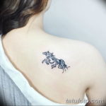 Фото маленькое тату лошадь 24.07.2019 №007 - small horse tattoo - tatufoto.com