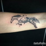 Фото маленькое тату лошадь 24.07.2019 №012 - small horse tattoo - tatufoto.com