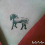 Фото маленькое тату лошадь 24.07.2019 №014 - small horse tattoo - tatufoto.com