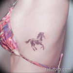Фото маленькое тату лошадь 24.07.2019 №017 - small horse tattoo - tatufoto.com