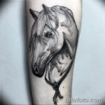 Фото пример тату с лошадью 24.07.2019 №017 - horse tattoo - tatufoto.com