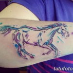 Фото пример тату с лошадью 24.07.2019 №054 - horse tattoo - tatufoto.com