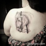 Фото тату белая лошадь 24.07.2019 №006 - white horse tattoo - tatufoto.com