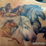 Фото тату белая лошадь 24.07.2019 №010 - white horse tattoo - tatufoto.com