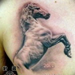 Фото тату белая лошадь 24.07.2019 №013 - white horse tattoo - tatufoto.com