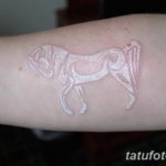 Фото тату белая лошадь 24.07.2019 №016 - white horse tattoo - tatufoto.com