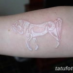 Фото тату белая лошадь 24.07.2019 №016 - white horse tattoo - tatufoto.com