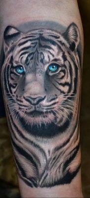 Фото тату белый тигр 28.07.2019 №002 — white tiger tattoo — tatufoto.com