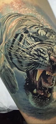 Фото тату белый тигр 28.07.2019 №005 — white tiger tattoo — tatufoto.com