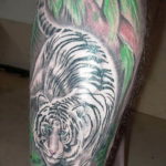 Фото тату белый тигр 28.07.2019 №008 - white tiger tattoo - tatufoto.com