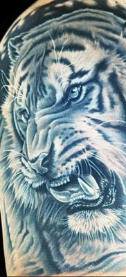 Фото тату белый тигр 28.07.2019 №009 — white tiger tattoo — tatufoto.com
