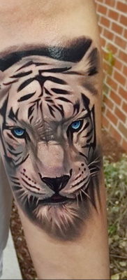 Фото тату белый тигр 28.07.2019 №010 — white tiger tattoo — tatufoto.com