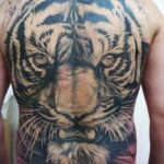 Фото тату белый тигр 28.07.2019 №015 - white tiger tattoo - tatufoto.com