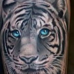 Фото тату белый тигр 28.07.2019 №019 - white tiger tattoo - tatufoto.com