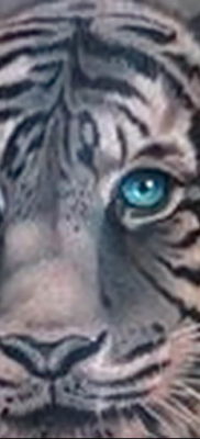 Фото тату белый тигр 28.07.2019 №019 — white tiger tattoo — tatufoto.com