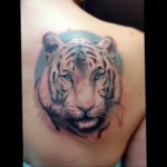 Фото тату белый тигр 28.07.2019 №026 - white tiger tattoo - tatufoto.com