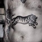 Фото тату белый тигр 28.07.2019 №027 - white tiger tattoo - tatufoto.com