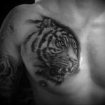 Фото тату белый тигр 28.07.2019 №031 - white tiger tattoo - tatufoto.com