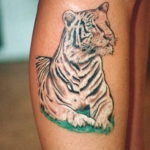 Фото тату белый тигр 28.07.2019 №035 - white tiger tattoo - tatufoto.com