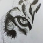 Фото тату белый тигр 28.07.2019 №047 - white tiger tattoo - tatufoto.com