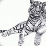 Фото тату белый тигр 28.07.2019 №048 - white tiger tattoo - tatufoto.com