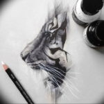Фото тату белый тигр 28.07.2019 №054 - white tiger tattoo - tatufoto.com