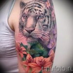 Фото тату белый тигр 28.07.2019 №057 - white tiger tattoo - tatufoto.com