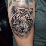 Фото тату белый тигр 28.07.2019 №058 - white tiger tattoo - tatufoto.com