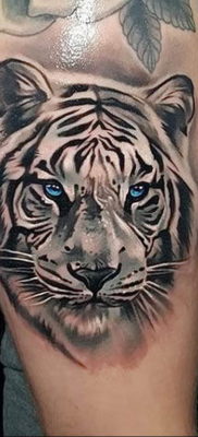 Фото тату белый тигр 28.07.2019 №058 — white tiger tattoo — tatufoto.com