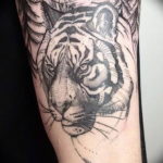 Фото тату белый тигр 28.07.2019 №059 - white tiger tattoo - tatufoto.com