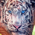 Фото тату белый тигр 28.07.2019 №060 - white tiger tattoo - tatufoto.com